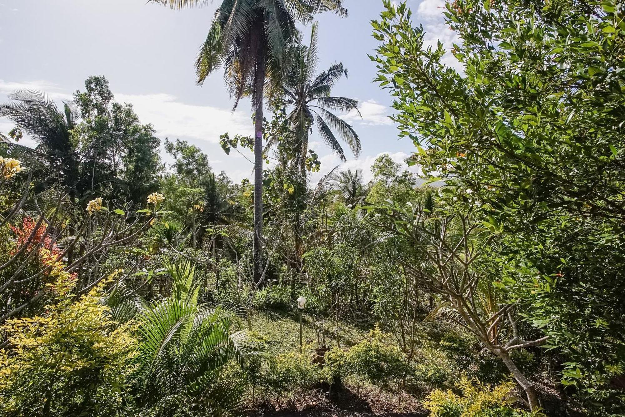 Sakti Penida Lapaya Bungalows Nusa Penida المظهر الخارجي الصورة